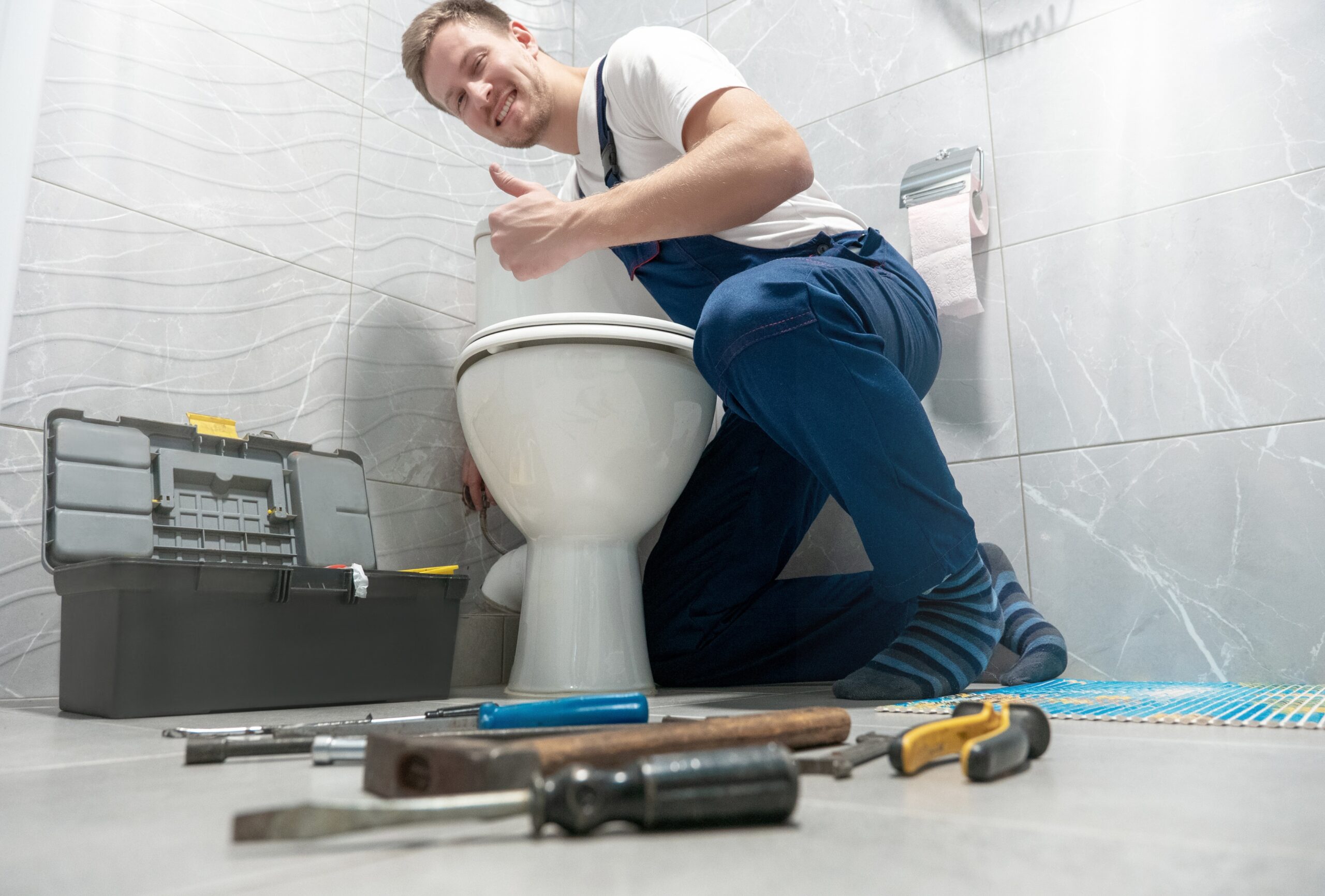 sunshine coast toilet plumber.jpg